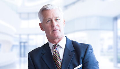 Image showing Senior businessman in his office