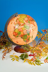 Image showing Terrestrial Globe