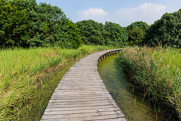 Image showing Hong Kong Wetland Park wooden walk way