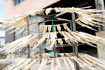 Image showing Squid Drying on the stand