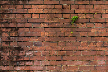 Image showing Red brick wall