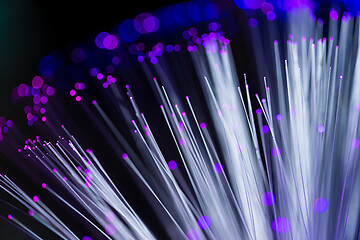 Image showing Optical fiber in blue