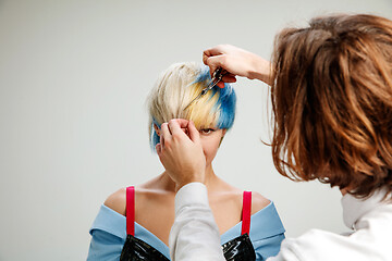 Image showing Picture showing adult woman at the hair salon