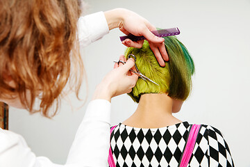 Image showing Picture showing adult woman at the hair salon