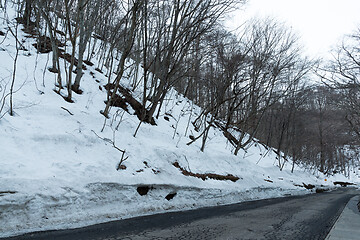 Image showing Road and trees covered with snow