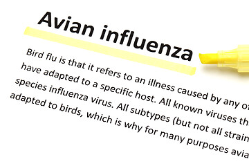 Image showing English dictionary means of Avian influenza 