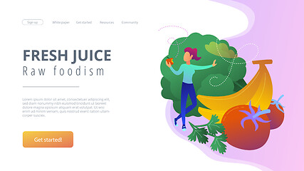 Image showing Fresh juice and raw foodism landing page.