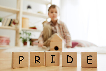 Image showing Wooden cubes with word PRIDE in hands of little boy