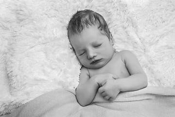 Image showing cute newborn baby