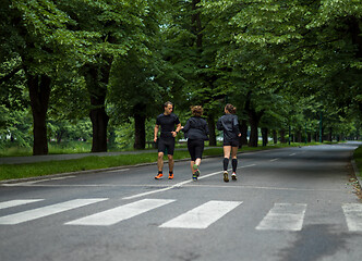 Image showing runners team on morning training