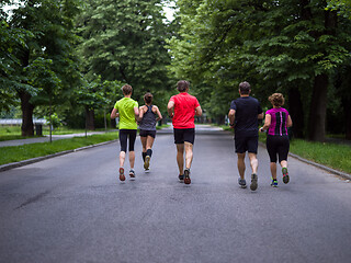 Image showing runners team on morning training