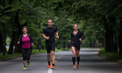 Image showing runners team on morning training