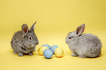 Image showing Easter bunny rabbits with painted eggs on yellow background. Easter holiday concept.