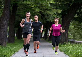 Image showing runners team on morning training