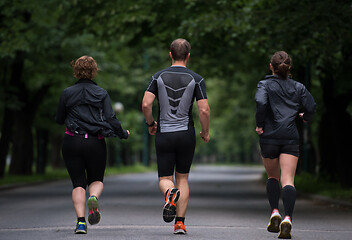 Image showing runners team on morning training