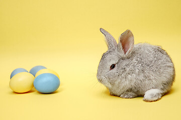 Image showing Easter bunny rabbit with painted eggs on yellow background. Easter holiday concept.