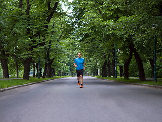 Image showing male runner training for marathon