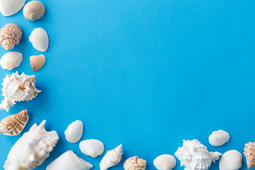 Image showing frame of different sea shells on blue background