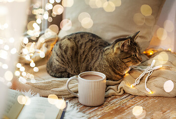 Image showing tabby cat lying on window sill with book at home