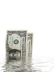 Image showing Dollar bills in water