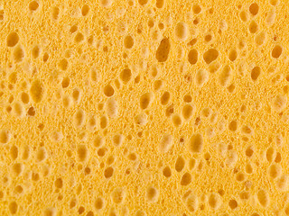 Image showing Sponge background