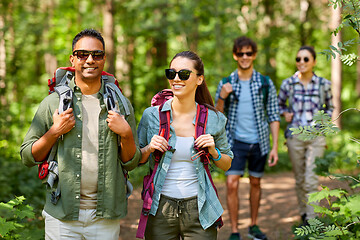 Image showing group of friends with backpacks hiking in forest