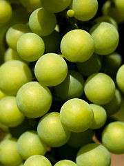 Image showing Green grapes closeup