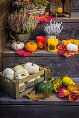 Image showing Autumn garden decoration on terrace and patio with pumpkins and heather plant 