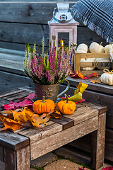 Image showing Autumn garden decoration on terrace and patio with pumpkins and heather plant 