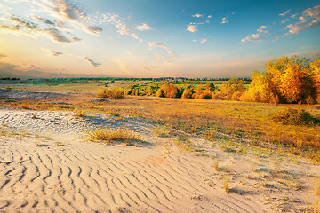 Image showing Desert in autumn