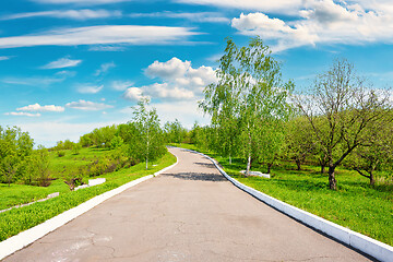 Image showing Road in the park