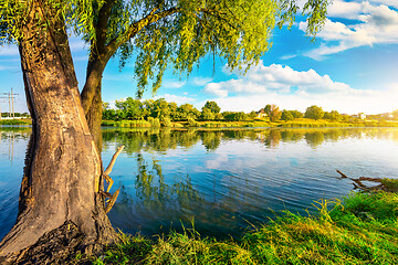 Image showing Pond and forest