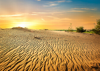 Image showing Sunset in desert