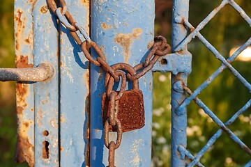 Image showing Old gate with padlock and chain