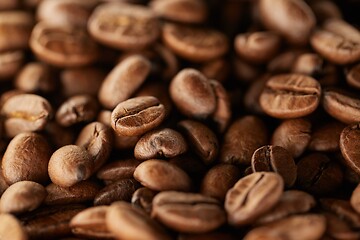 Image showing Roasted Coffee Beans