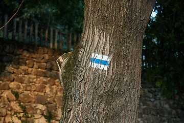 Image showing Hiking trail signs