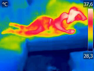 Image showing Thermal image Young woman is lying on the bed