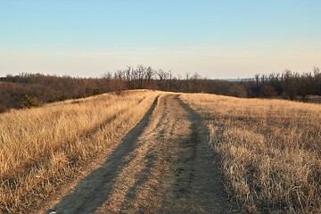 Image showing Countriside dirt road landscape, pale autumn