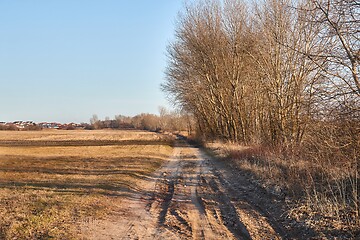 Image showing Countriside dirt road landscape, pale autumn