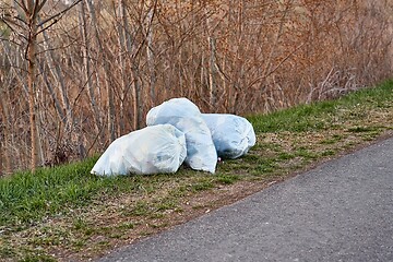 Image showing Bags of rubbish on the roadside