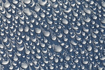 Image showing Shiny Water Droplets