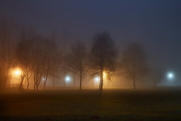 Image showing Foggy mysterious night in the park