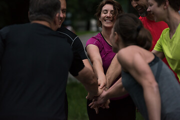 Image showing runners giving high five to each other