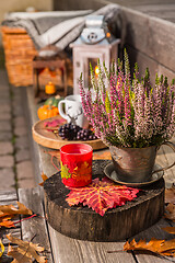 Image showing Autumn garden decoration on terrace and patio with pumpkins and heather plant 