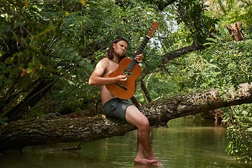 Image showing Playing the guitar on a tree above a river