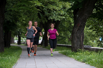 Image showing runners team on morning training