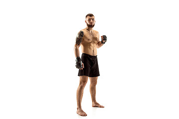 Image showing professional fighter boxing isolated on white studio background