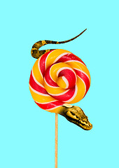 Image showing Contemporary art collage. Snake and candy