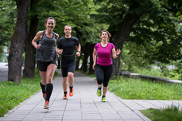 Image showing runners team on morning training