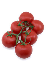 Image showing Tomatoes on white background